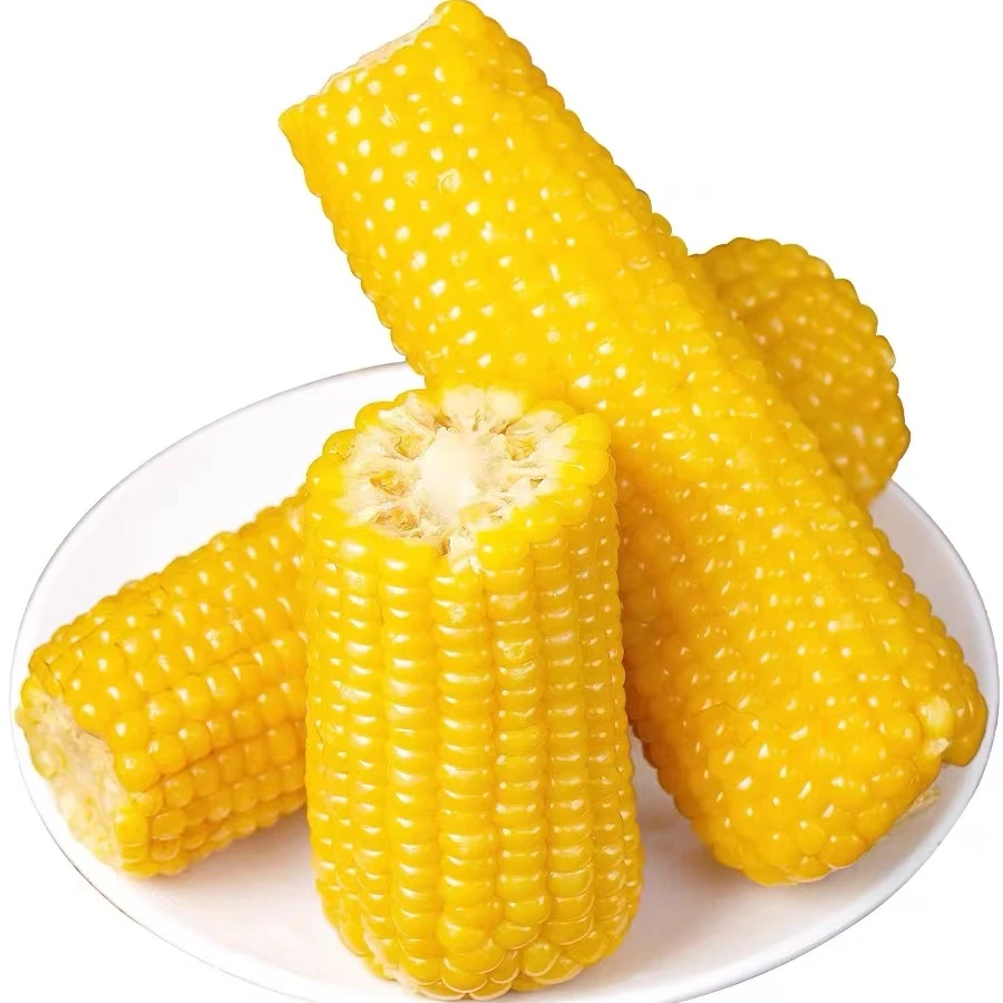 东北黄甜糯玉米260克--350克 8棒整箱5斤