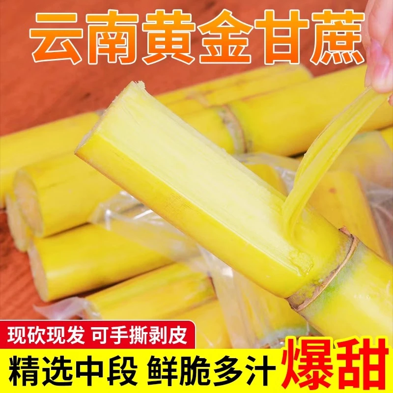 正宗【云南黄金甘蔗】脆甜黄皮新鲜水果当季现砍现发孕妇5/9斤包邮