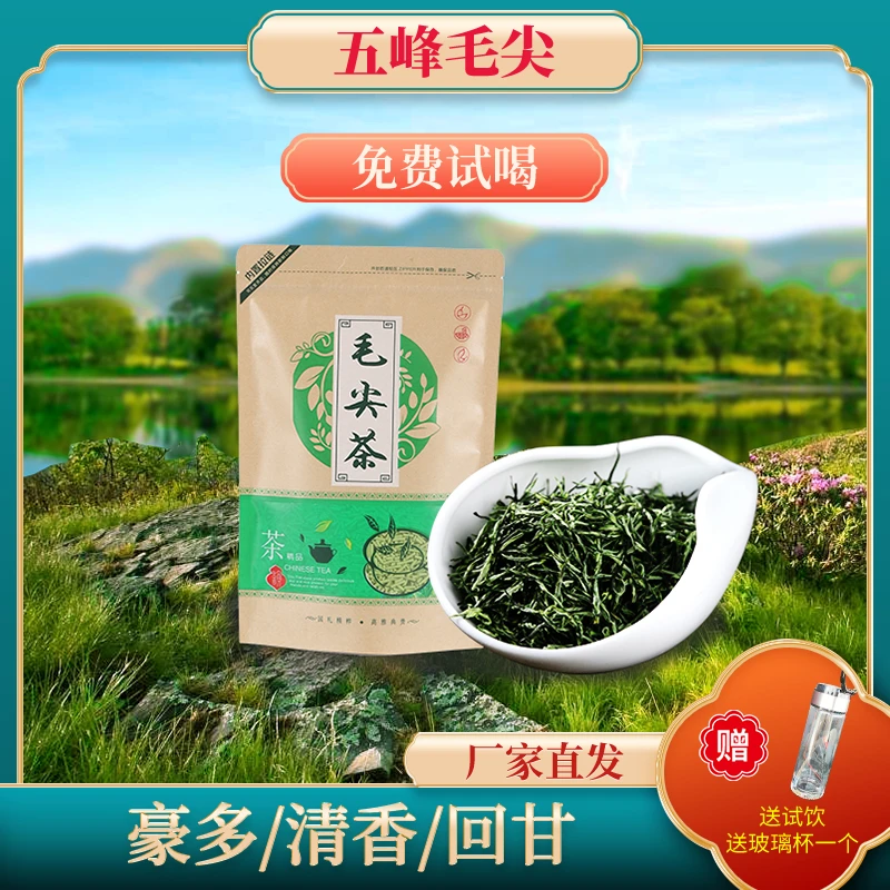 2022年新茶五峰芽毛尖清香散装原生态耐冲泡茶叶雨前高级新鲜绿茶