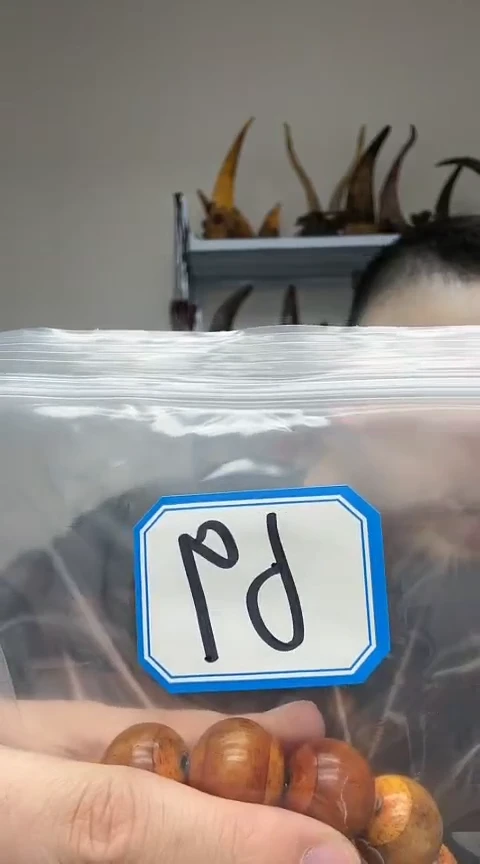 【闪购商品】工艺品根雕69