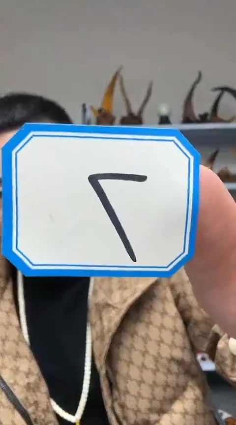 【闪购商品】工艺品根雕7