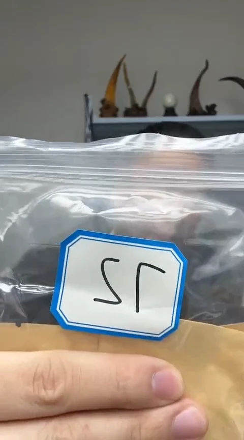 【闪购商品】工艺品根雕72