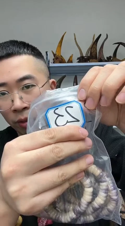 【闪购商品】工艺品根雕23