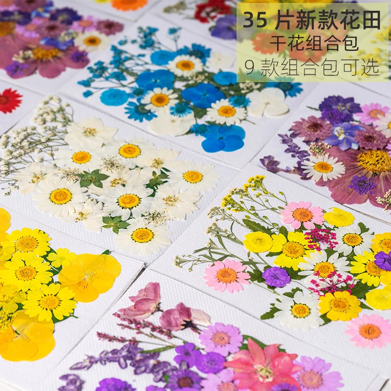 真花押花网红贴脸装饰眼角贴花瓣妆仙女妆新娘妆干花妆容少女写真