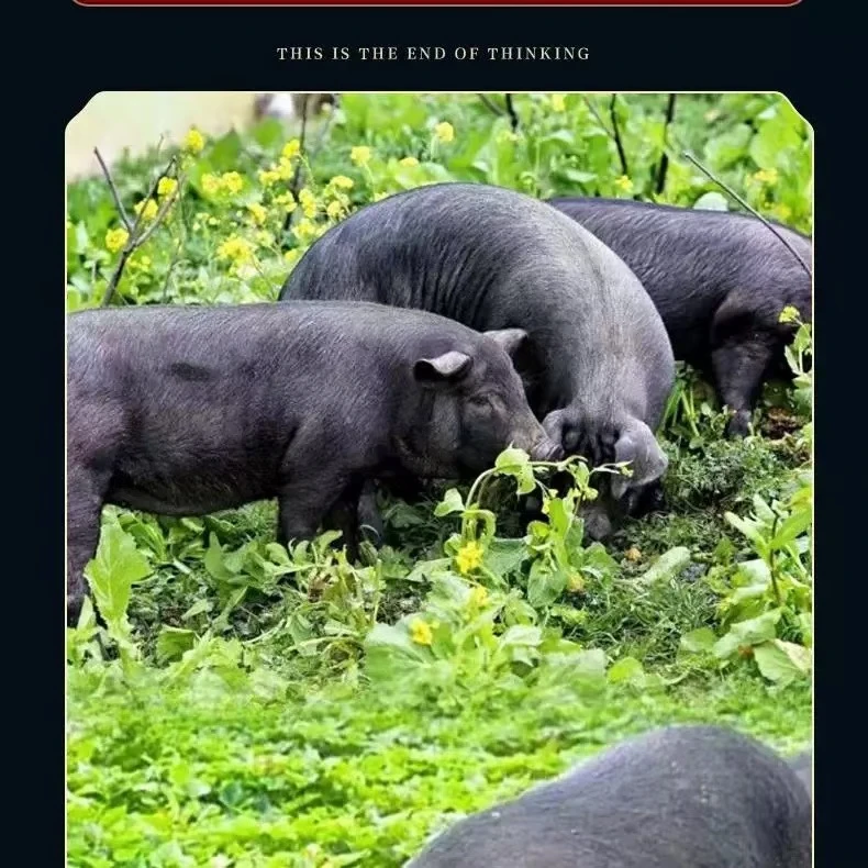 农家新鲜现杀猪肉散养黑土猪肉
