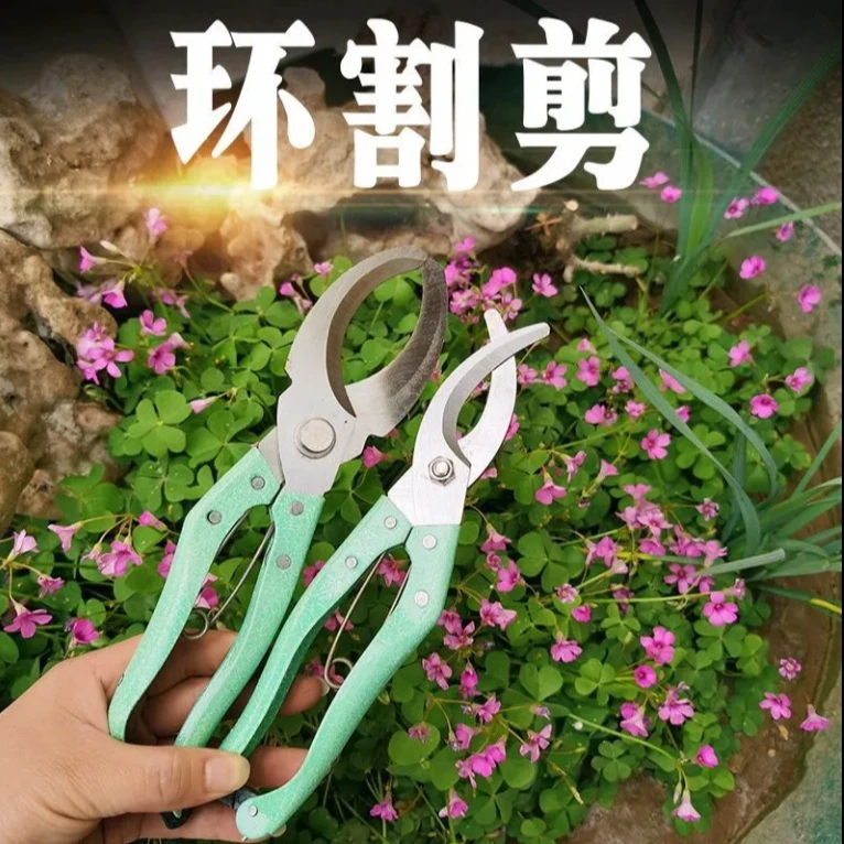 康娟01园林工具剥皮器修枝剪环切枝剪刀绿化扒皮刀环割刀环割剪