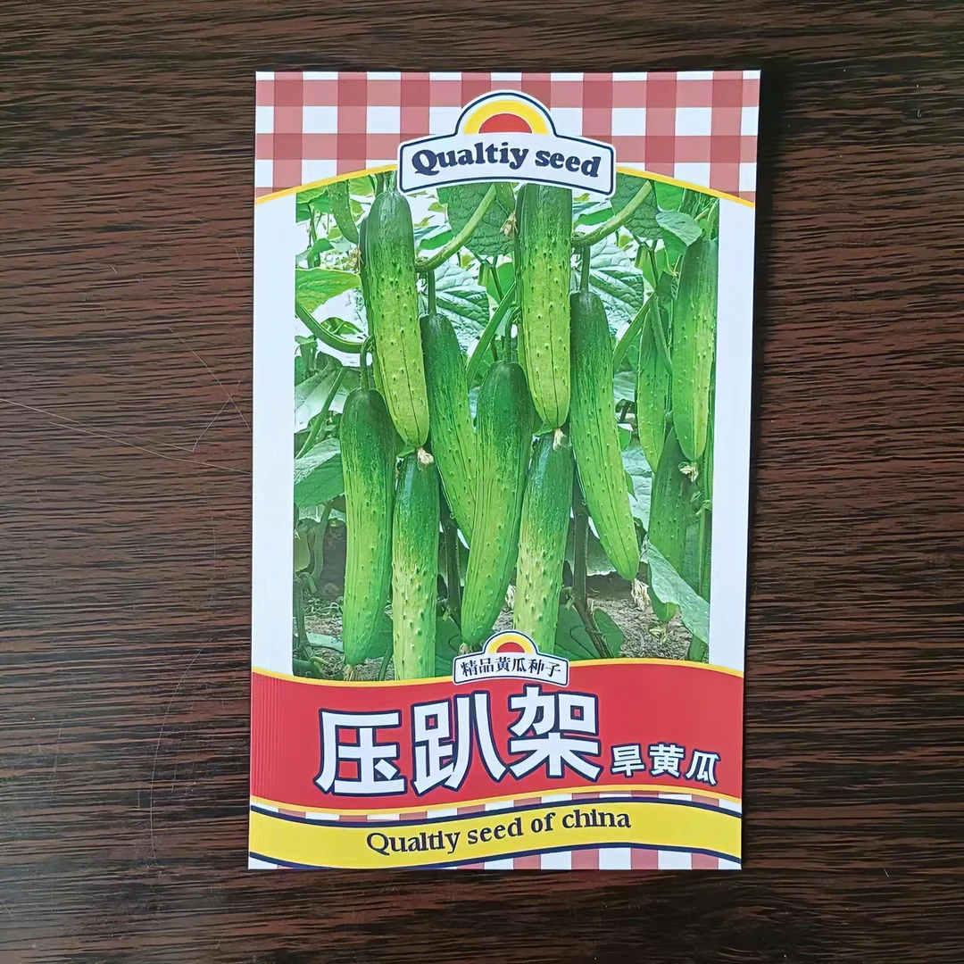 集抗压趴架旱黄瓜种子