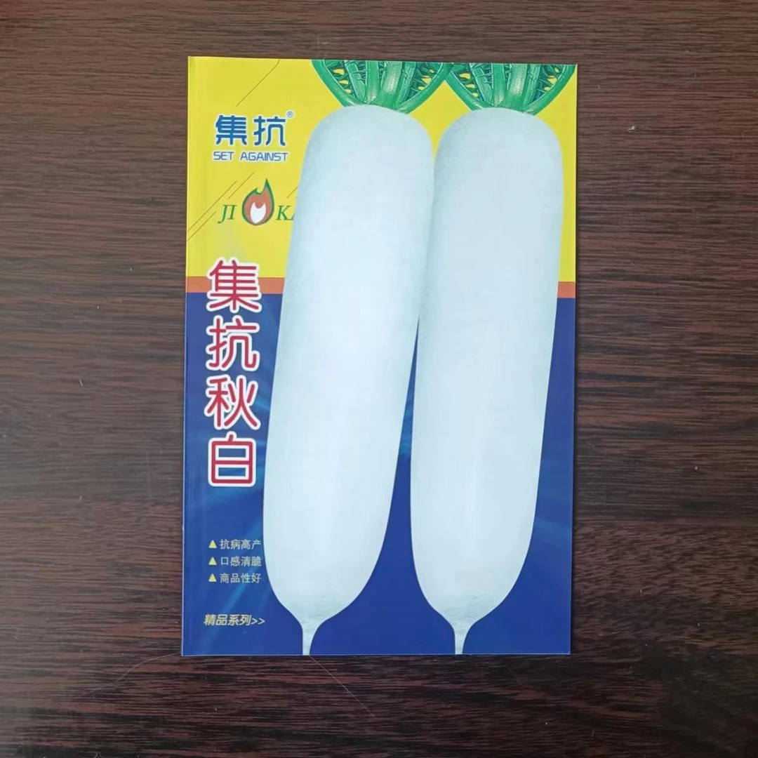集抗秋白大白萝卜种子