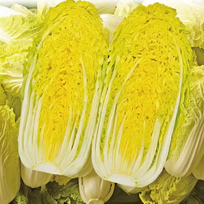 维加斯娃娃菜种子（新老包装随机发货）