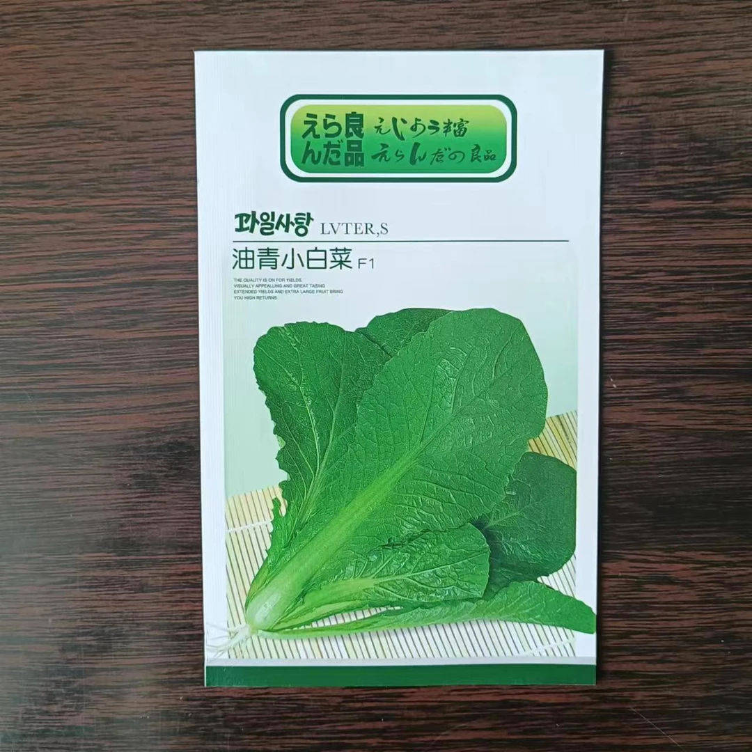 集抗油青小白菜种子