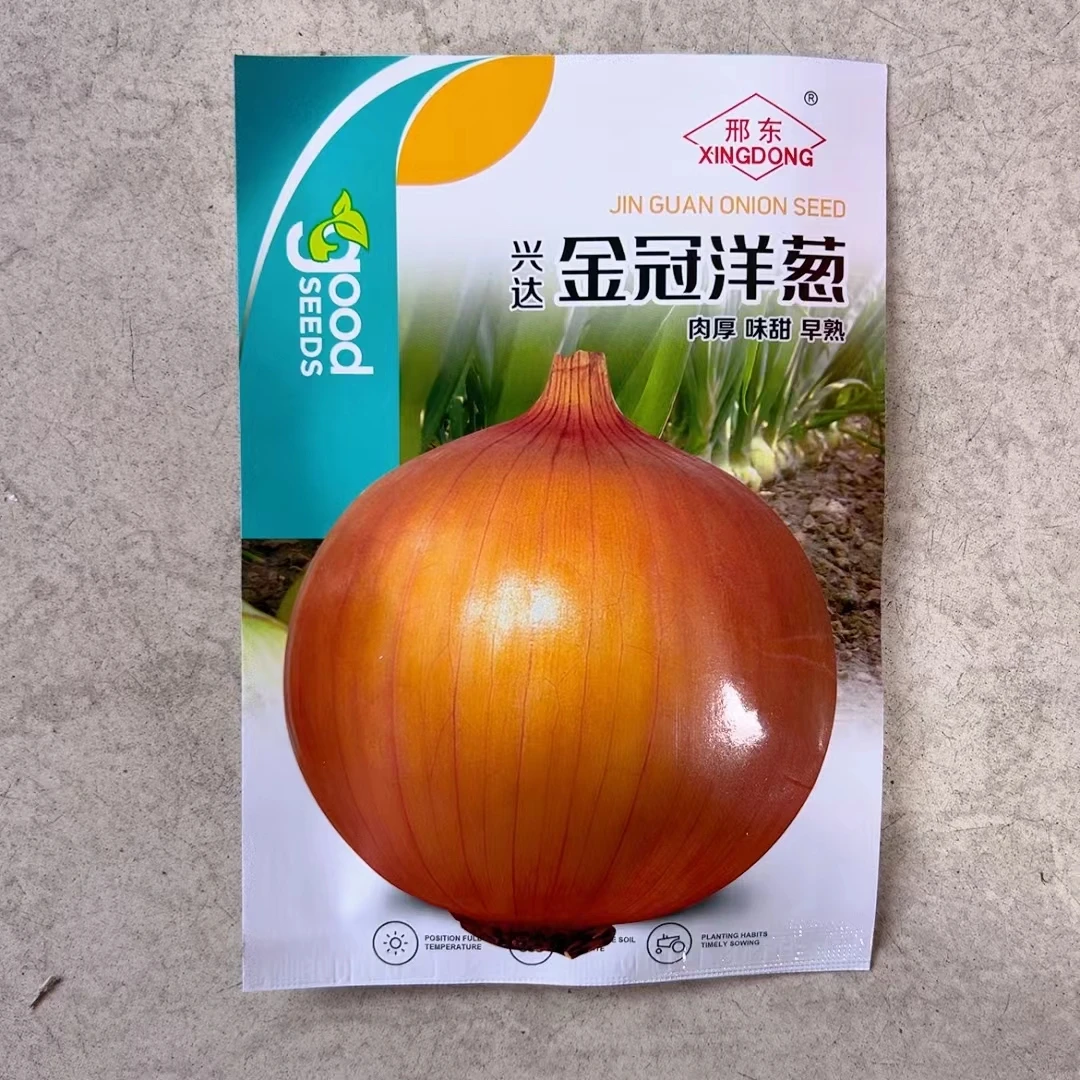 兴达金冠洋葱种子