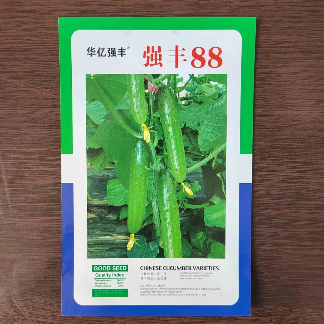 集抗强丰88旱黄瓜种子