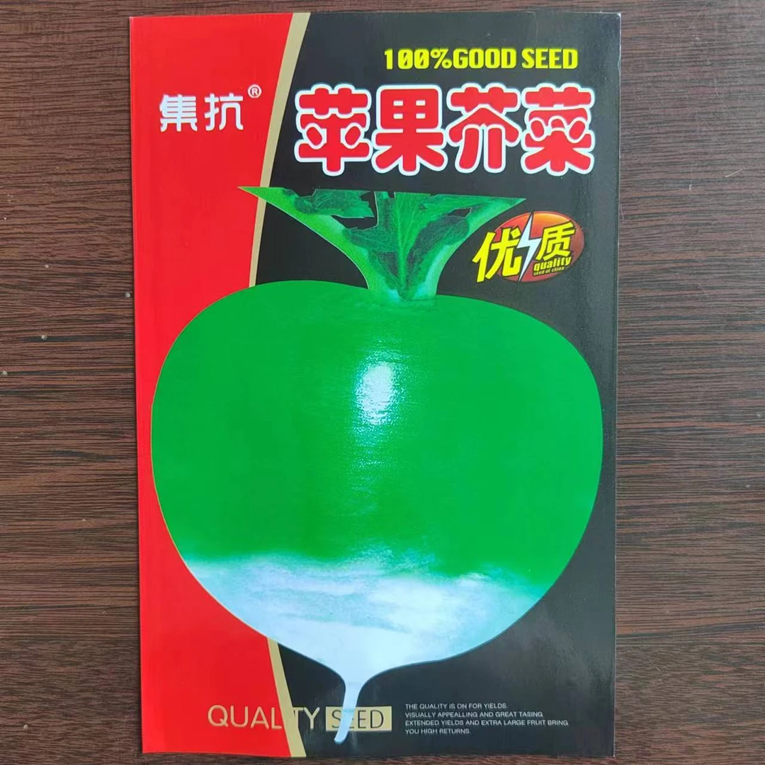 集抗苹果芥菜种子