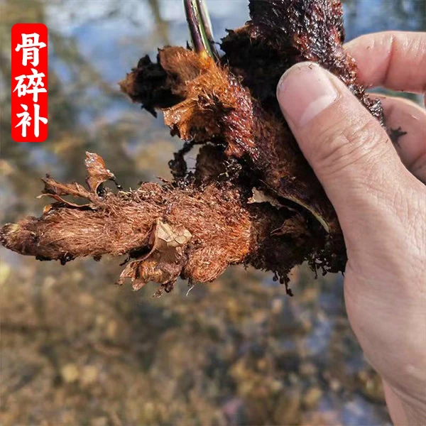骨碎补250g干品崖姜岩连姜爬岩姜巴岩姜肉碎补猴姜石毛姜无硫.