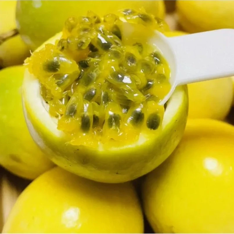 正宗广西钦蜜9号百香果3/5斤现摘现发果肉饱满口感香甜香浓