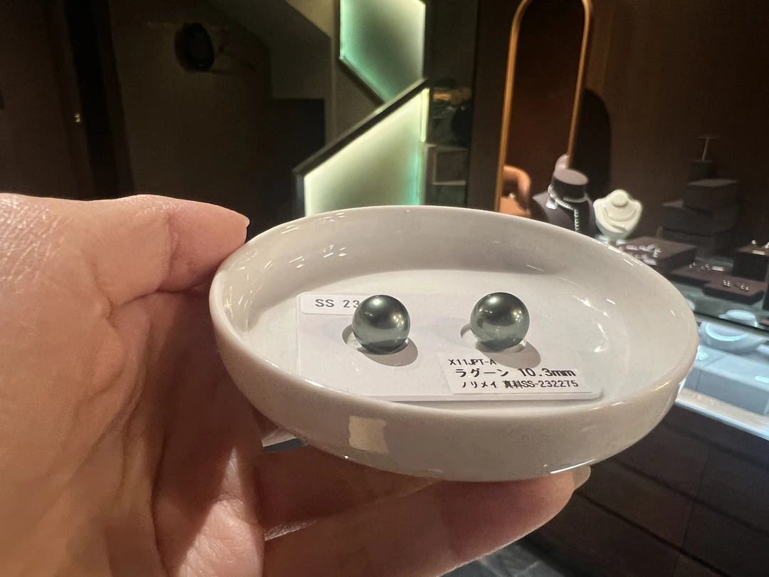 大溪地珍珠 拉贡 SS真科研 对珠