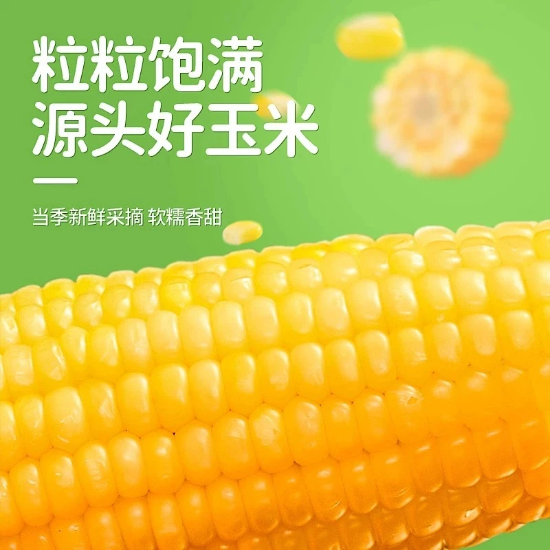 金玉盛粮24年新·金黄东北玉米