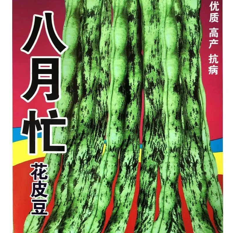 花皮豆角种子高产早熟无筋花皮豆八月忙花豆架豆四季豆角蔬菜种子