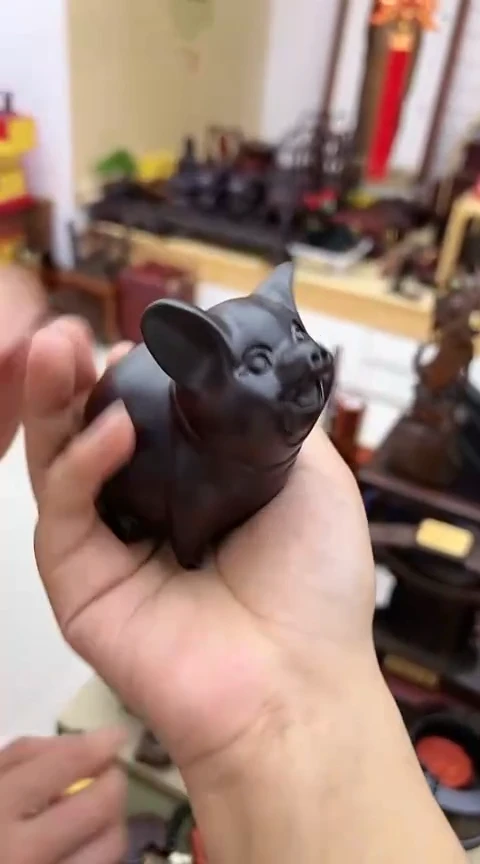 【闪购商品】小猪猪