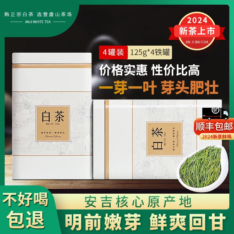 白茶A22新茶采摘罐装茶叶原产地发货高品质绿茶好茶安吉特产2024