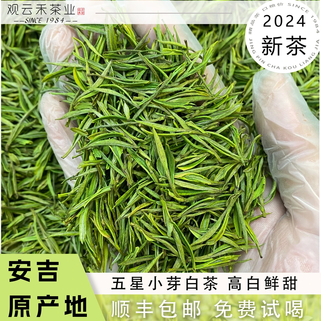 【A99】正宗安吉原产地高山小芽白茶 鲜香醇厚甘甜新茶优质工艺罐装