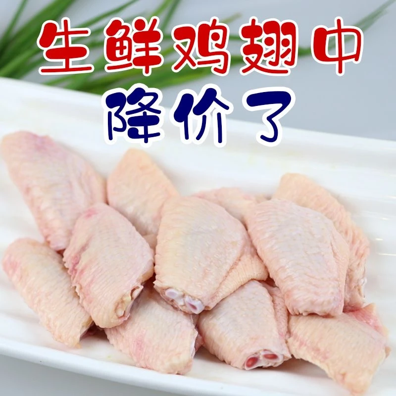 精选大号鸡翅中鸡中翅大号大哥鸡翅中商用鸡翅中可乐鸡翅批发