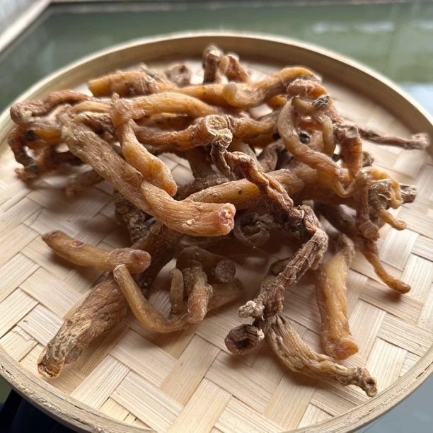 【云舍山甄】现收土特产 玉-竹 250/500 克-------------