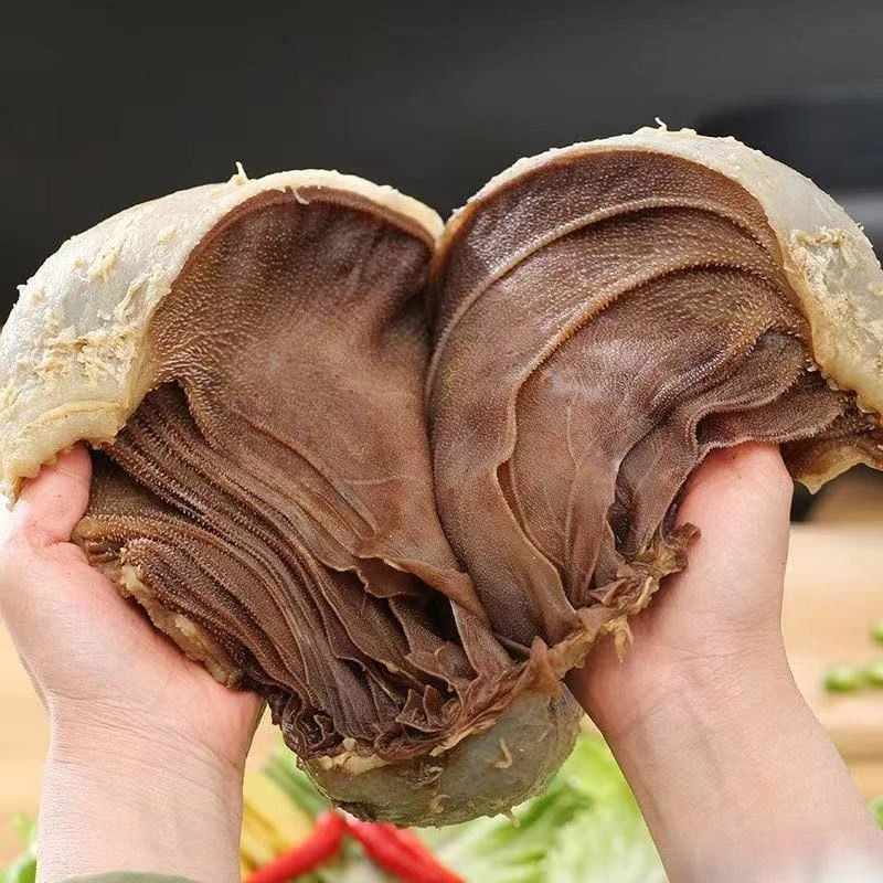 (净含量)3斤整块新鲜毛肚装爆炒火锅食材百叶牛肚 固形物含量90%