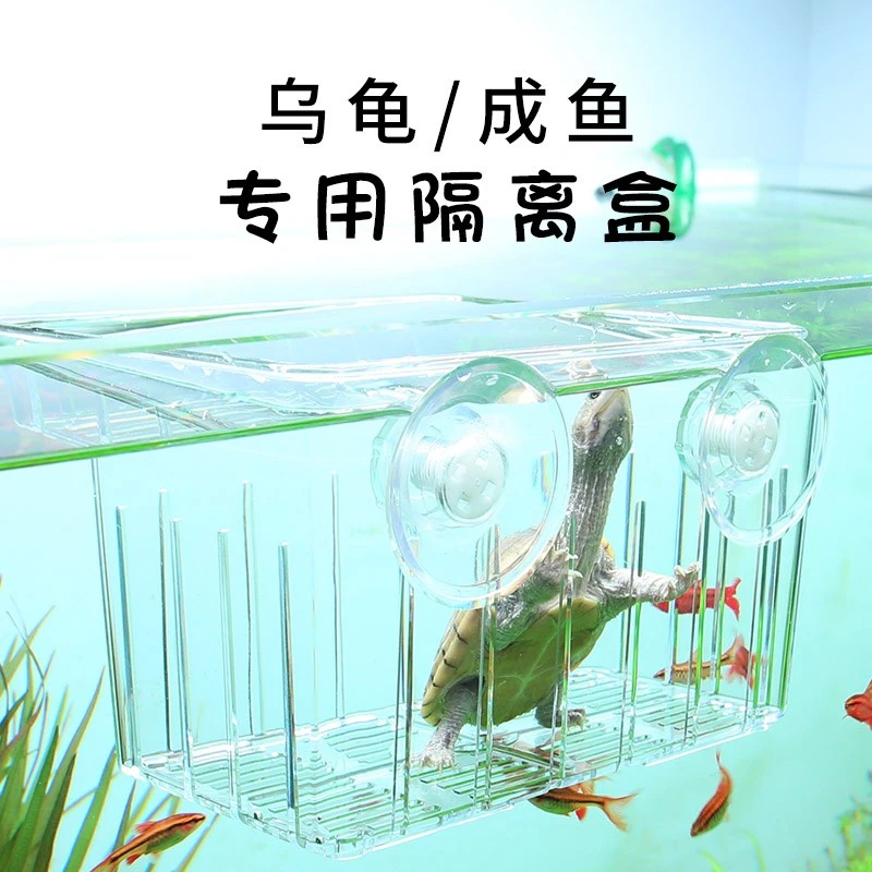 龟缸隔离盒乌龟发色盒龟苗饲养小龟黑色蛋龟白色隔离箱孵化盒方便