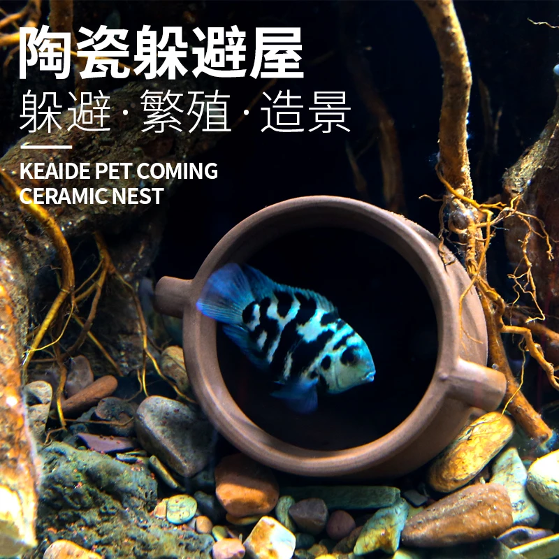 迷你鹦鹉鱼繁殖罐躲避罐躲避屋鲷罐鱼缸造景摆件虾屋异型鱼繁殖屋