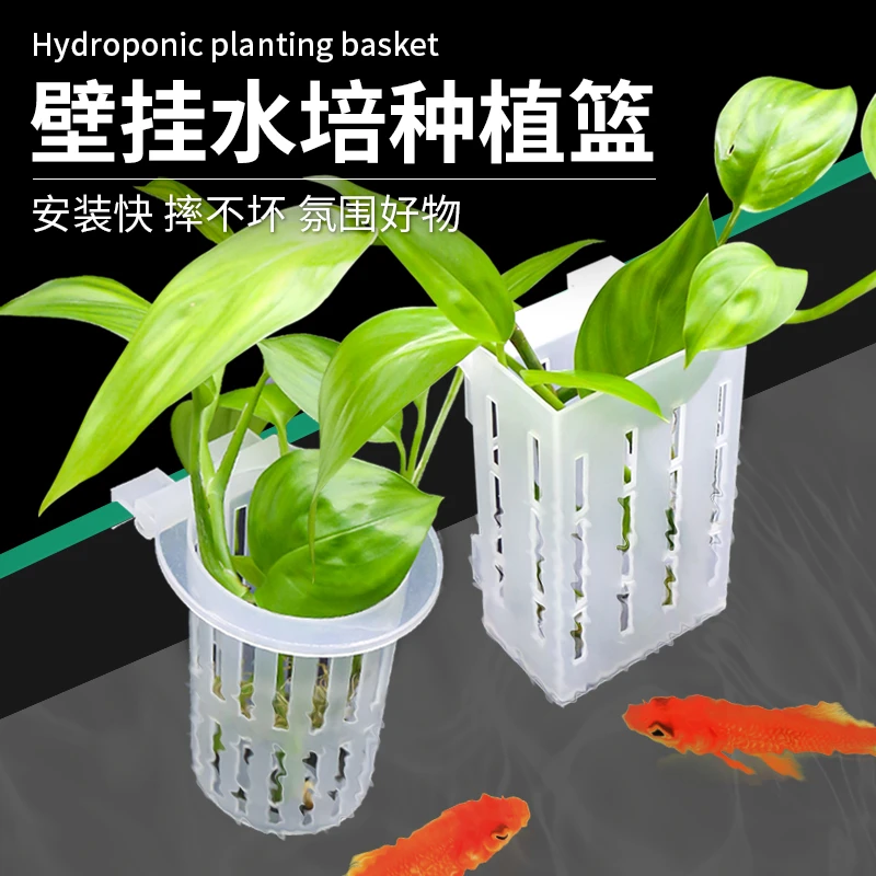 鱼缸水培植物挂式定植篮绿萝铜钱草水生植物红薯苗培育固定架