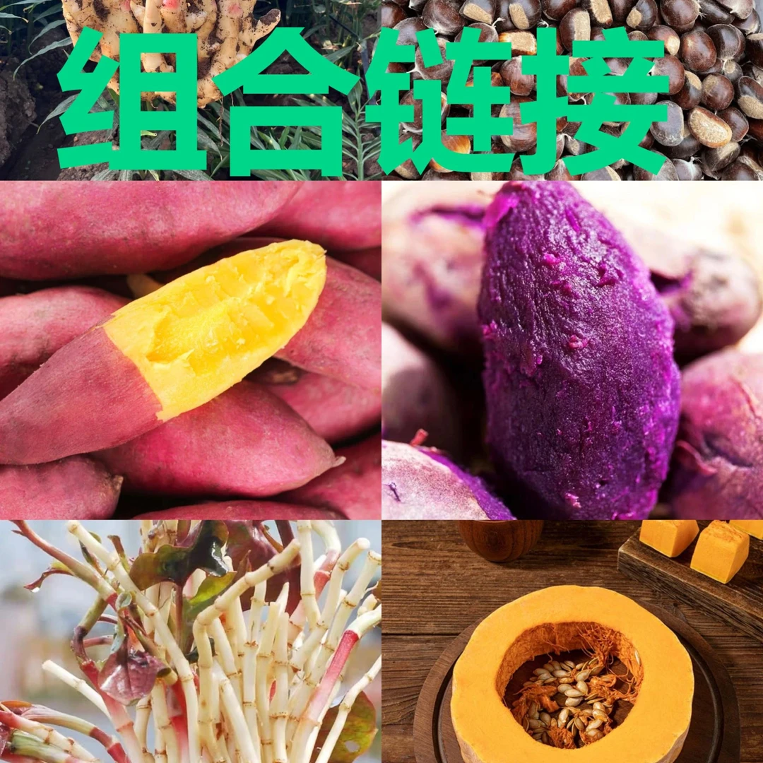 蔬菜组合链接 现场直播