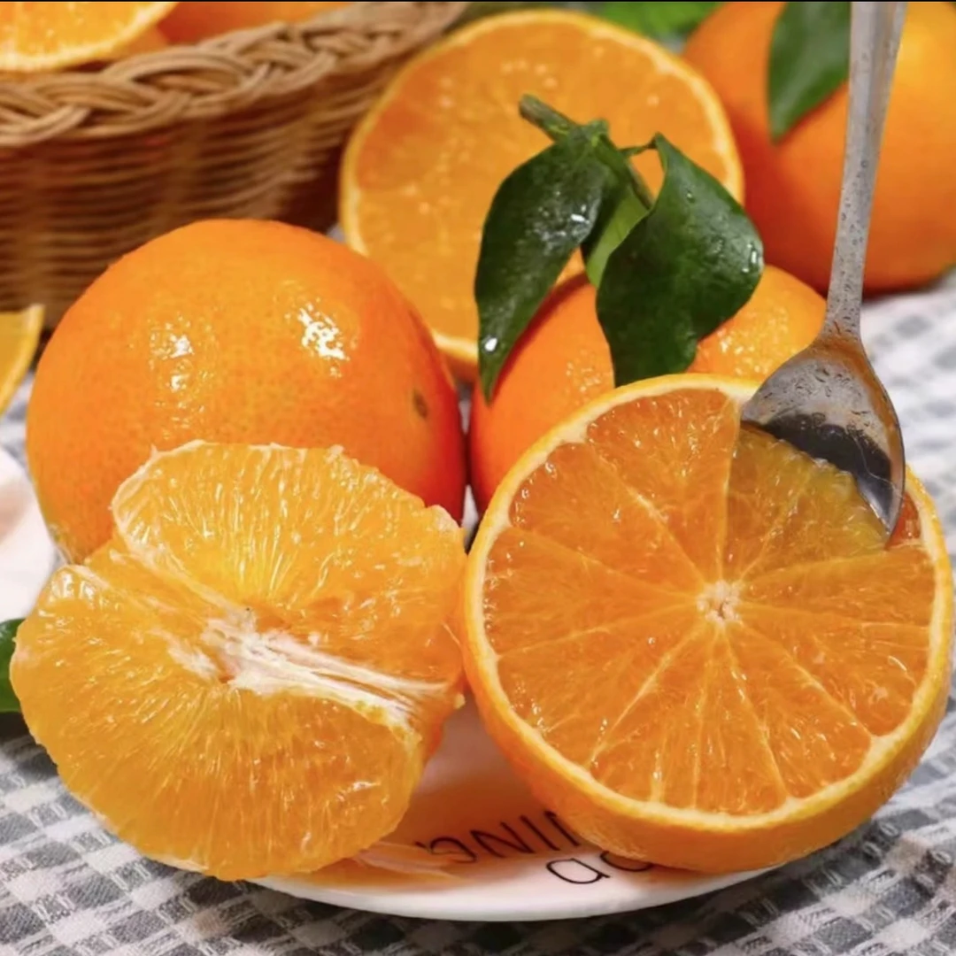 【村干部李慧推荐】 年货福利本地无核橙罗脐橙水充足饱满多汁
