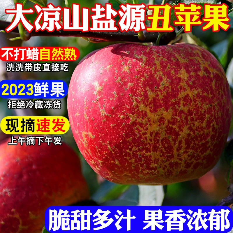 大凉山冰糖心红富士苹果脆甜多汁5/8斤当季水果正宗高山高海拔