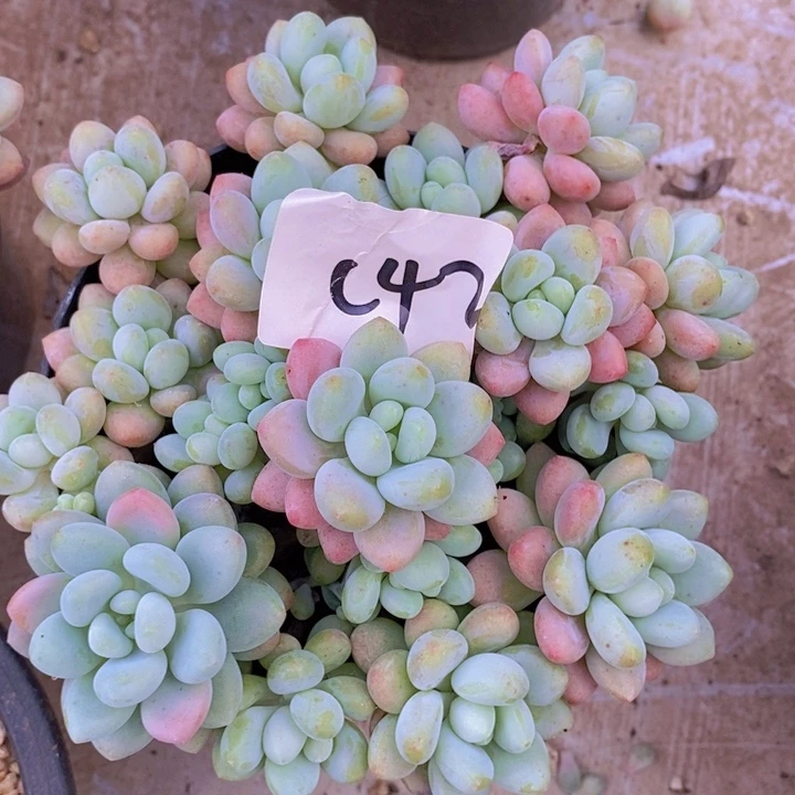 这么多事的发生和