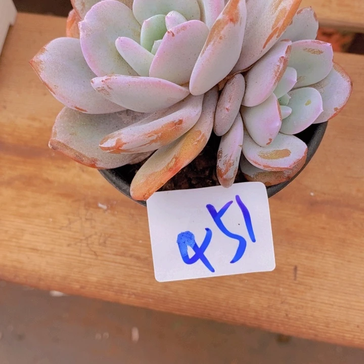 这个点就不应该喝