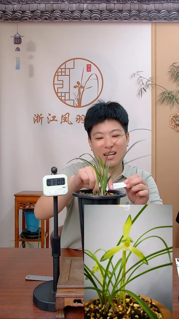 【闪购商品】绿谷明月2525