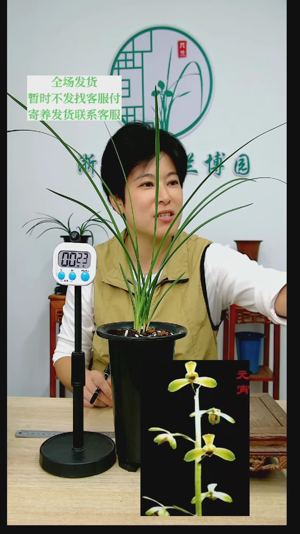 【闪购商品】元宵用****12510067231