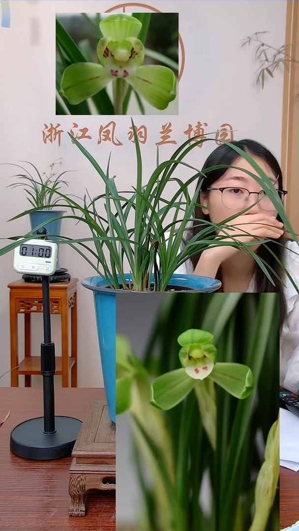 【闪购商品】鹤市灵活的胖子