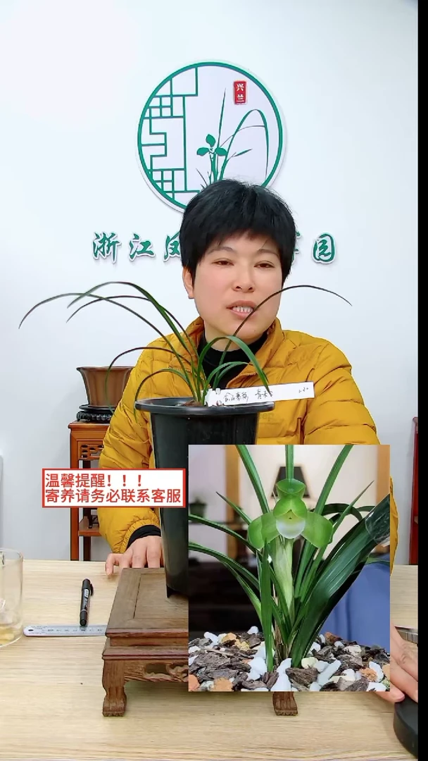 【闪购商品】俞氏素荷，，青未了