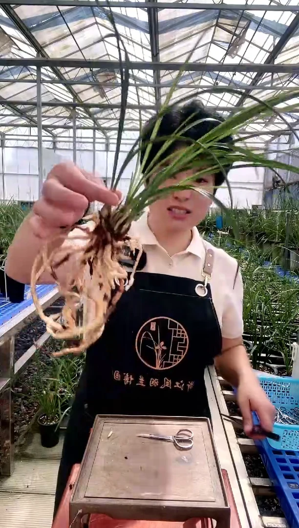 【闪购商品】集圆生***听生命在聆听