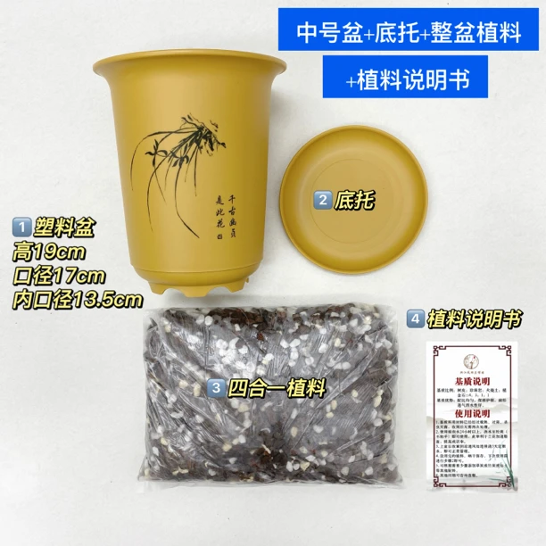【宠粉福利】种兰花套装含植料 仿紫沙塑料盆 限1000套