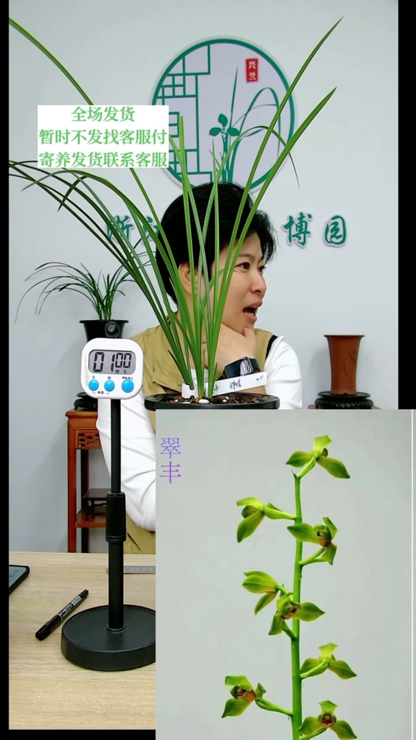 【闪购商品】翠丰，辉*，辉煌