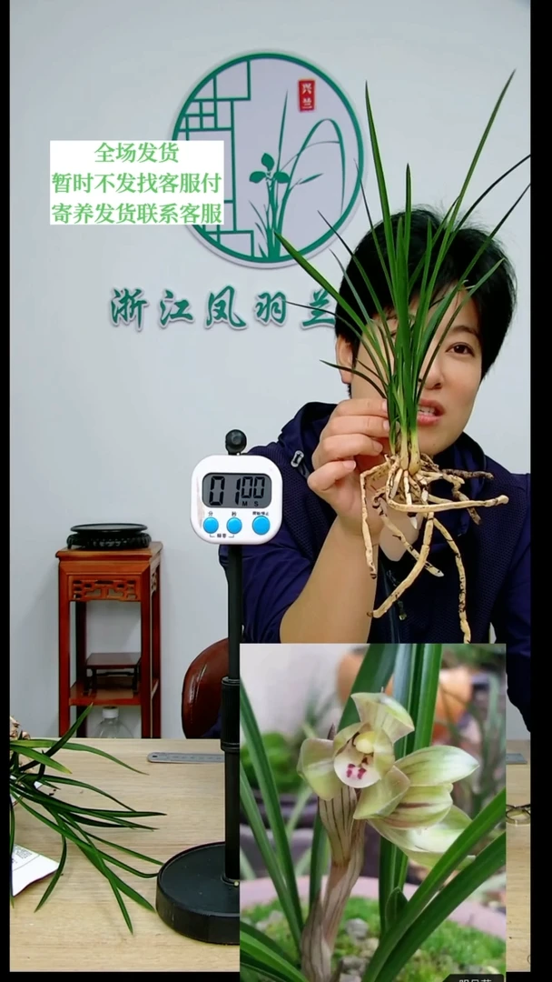 【闪购商品】明月荷，用****5，7385