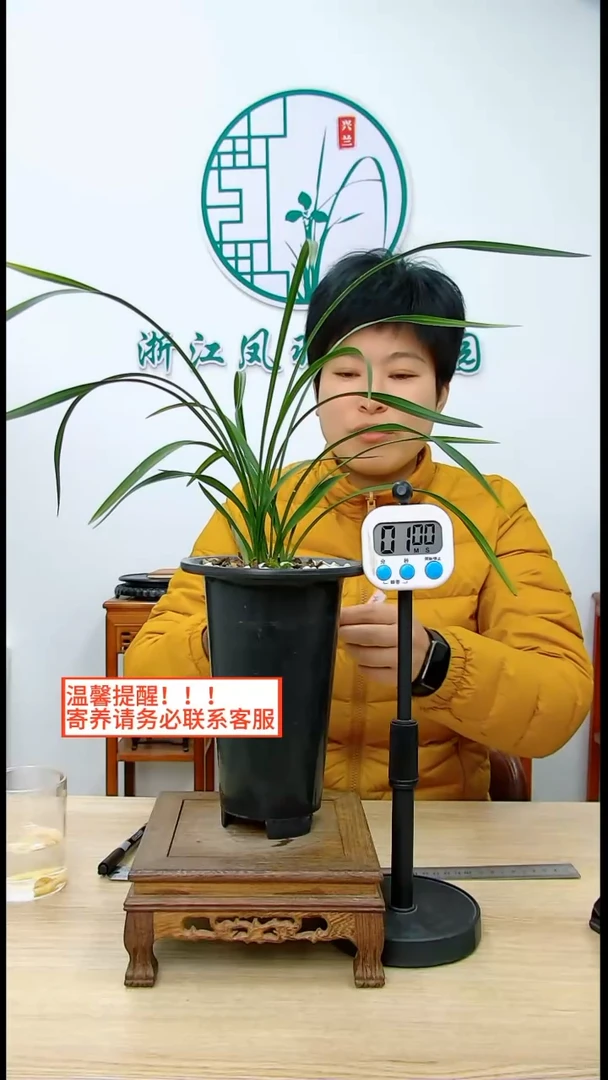 【闪购商品】余素，，沧海月明