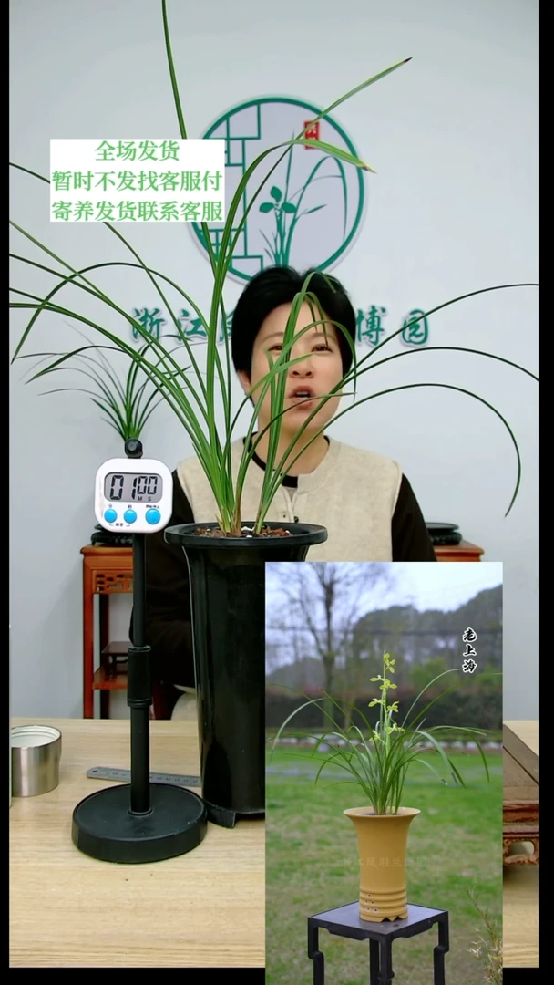 【闪购商品】老上海,唔*,唔涌