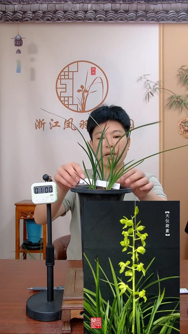 【闪购商品】天仪荷素万物声