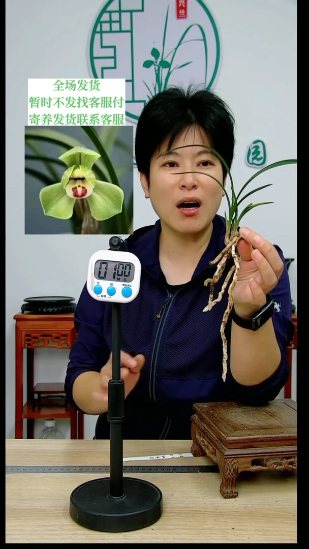 【闪购商品】盖圆，S****5，SFQ