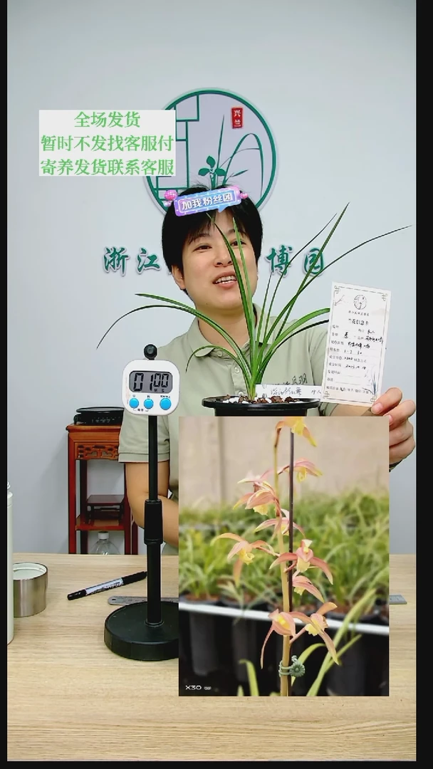 【闪购商品】谈氏彩虹素,水*,水人