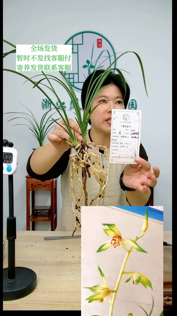 【闪购商品】金镶翡翠，用****9，8499